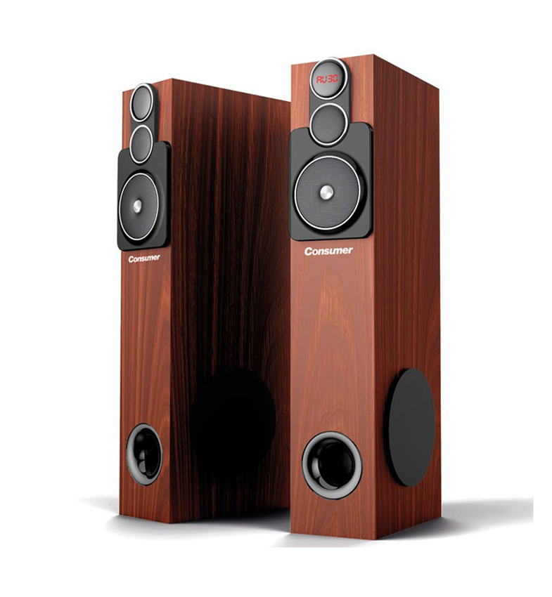 SPEAKER TOWER CONSUMER 120W