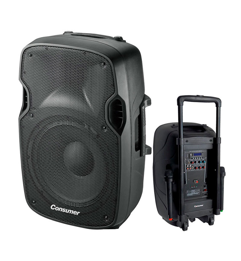 SPEAKER BOX-CONSUMER-12 1000W CON PEDESTAL